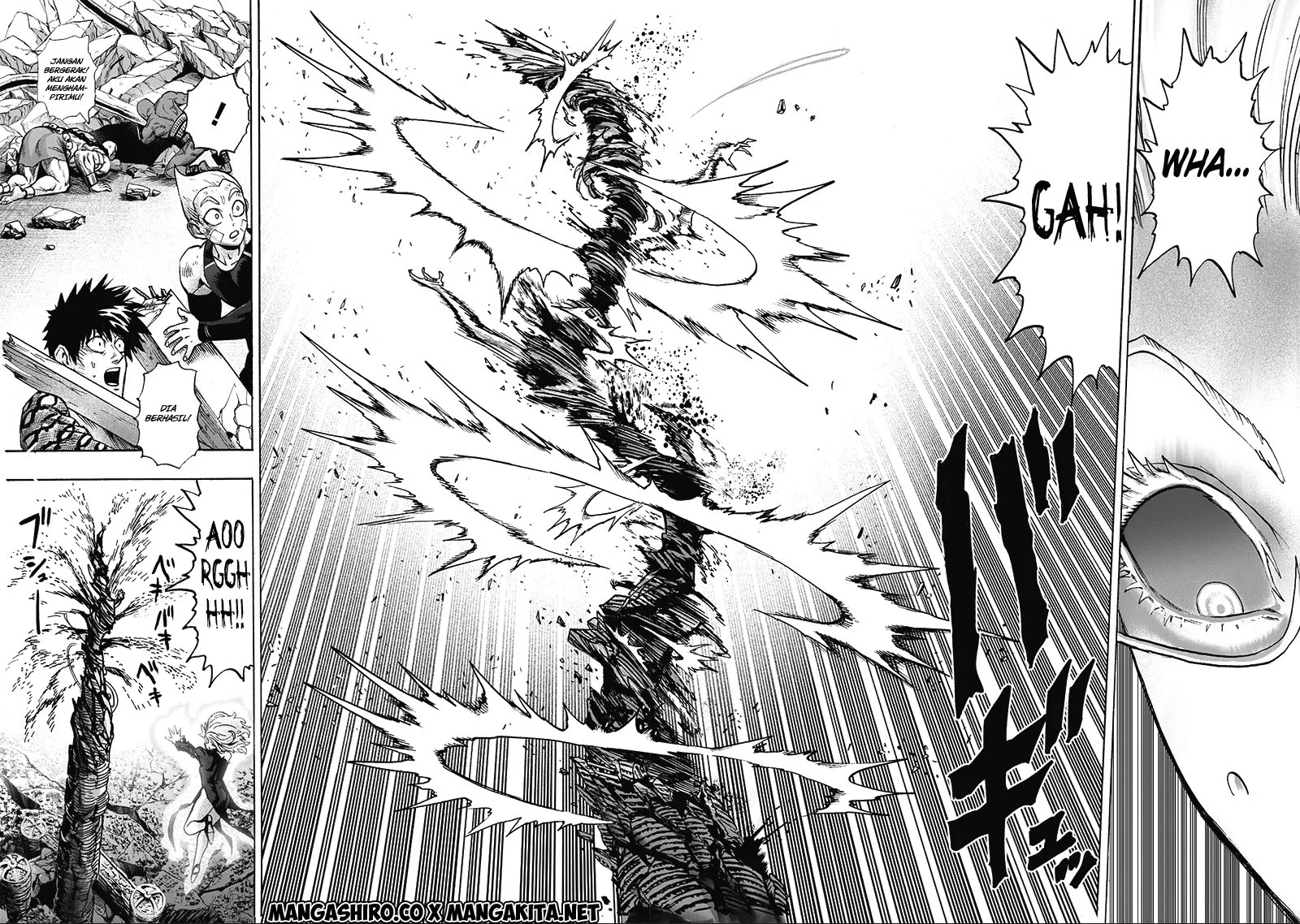 One Punch Man Chapter 181 - https://img.komiku.org/upload5/one-punch-man/181/2025-10-23/23.webp