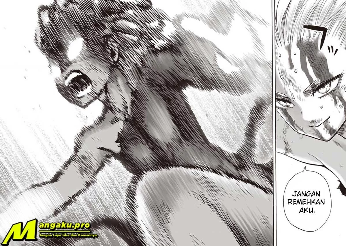 One Punch Man Chapter 185 - https://img.komiku.org/upload5/one-punch-man/185/2025-10-23/23.webp