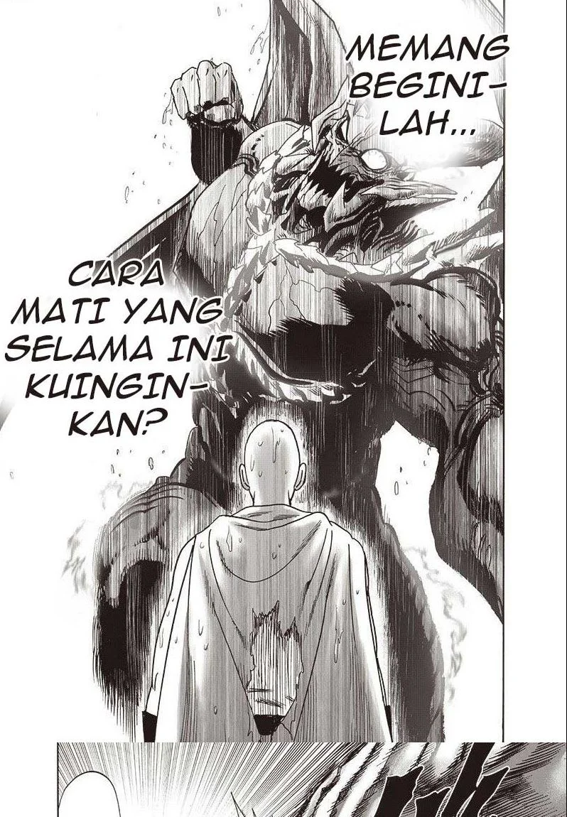 One Punch Man Chapter 212.2 Gambar 19