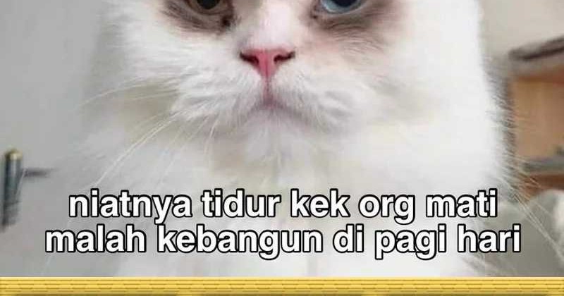 Past Life Regressor Chapter 126 Gambar 107