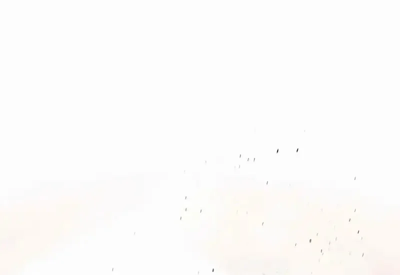 Psychopath in Murim Chapter 2 Gambar 75