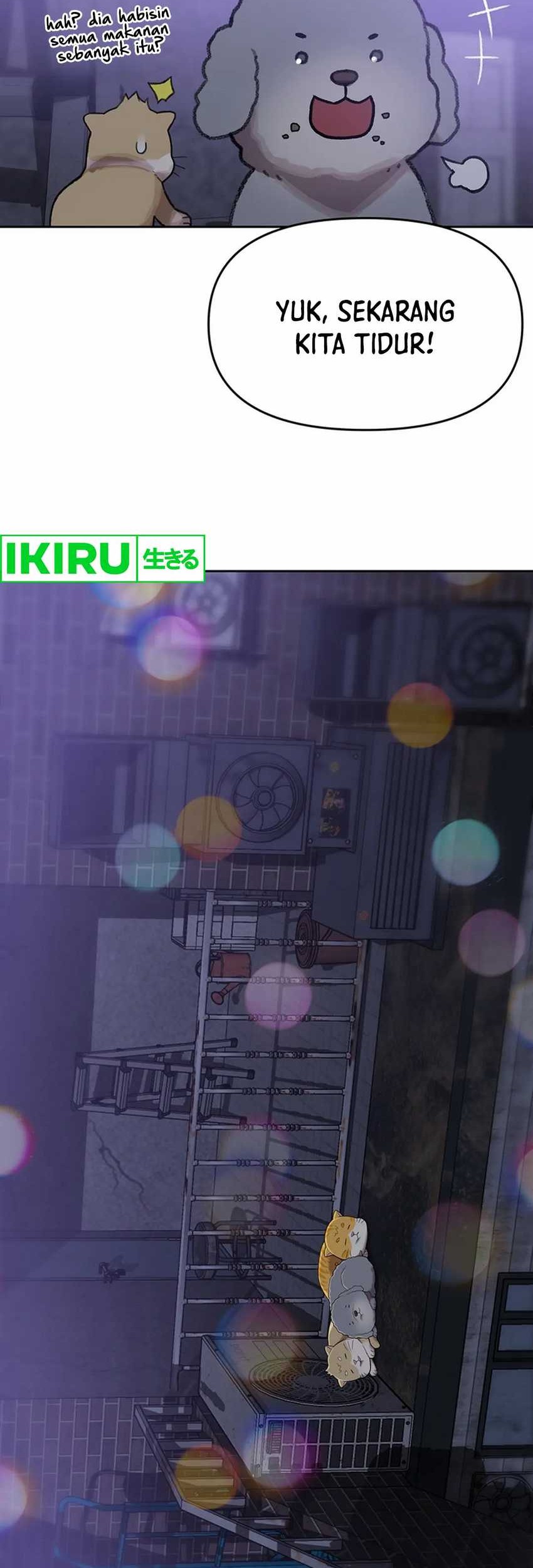 Rainbow Bridge Watchman Chapter 109 Gambar 13