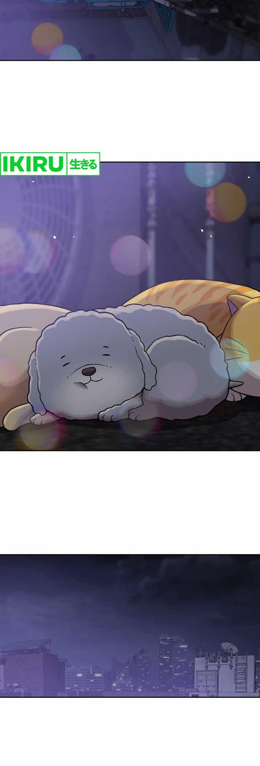 Rainbow Bridge Watchman Chapter 109 Gambar 14