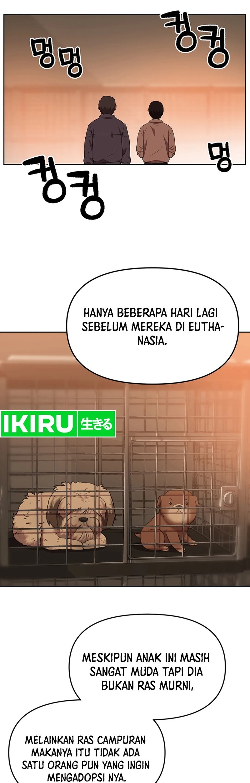 Rainbow Bridge Watchman Chapter 118 Gambar 5