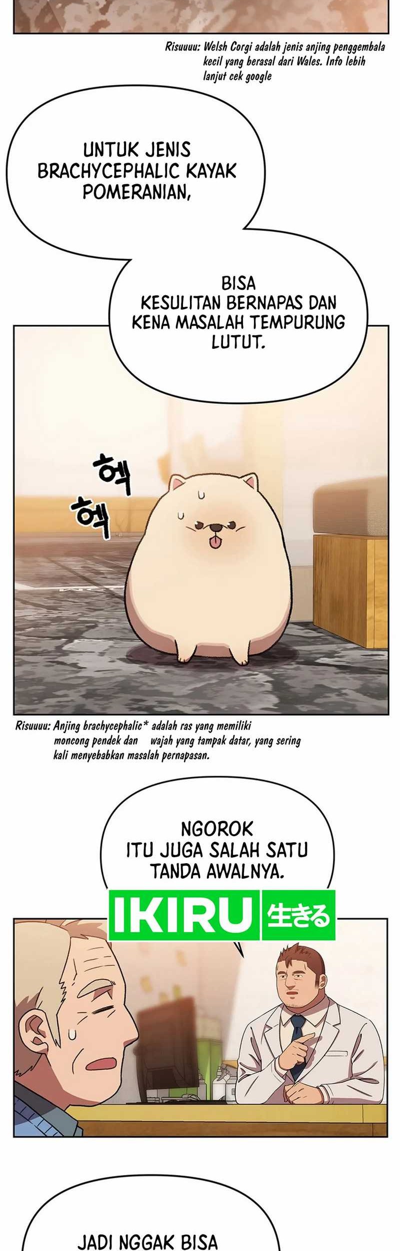 Rainbow Bridge Watchman Chapter 133 Gambar 22