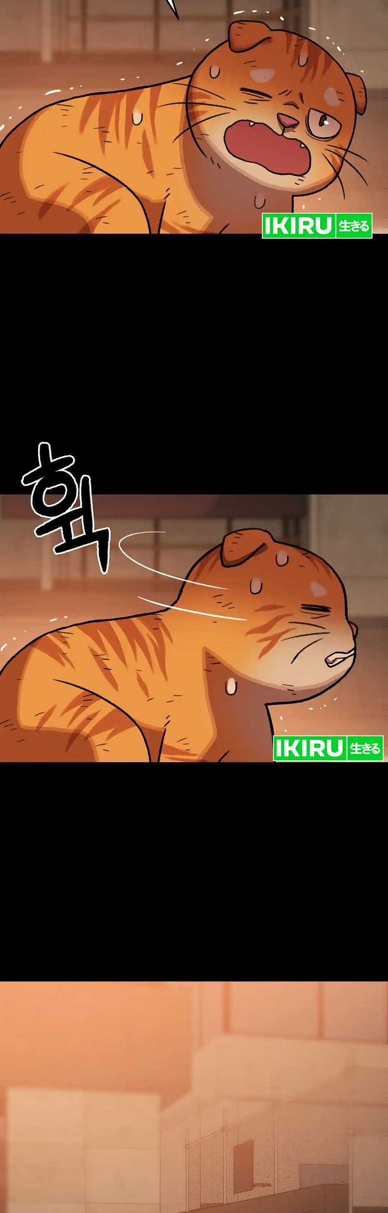 Rainbow Bridge Watchman Chapter 138 Gambar 13