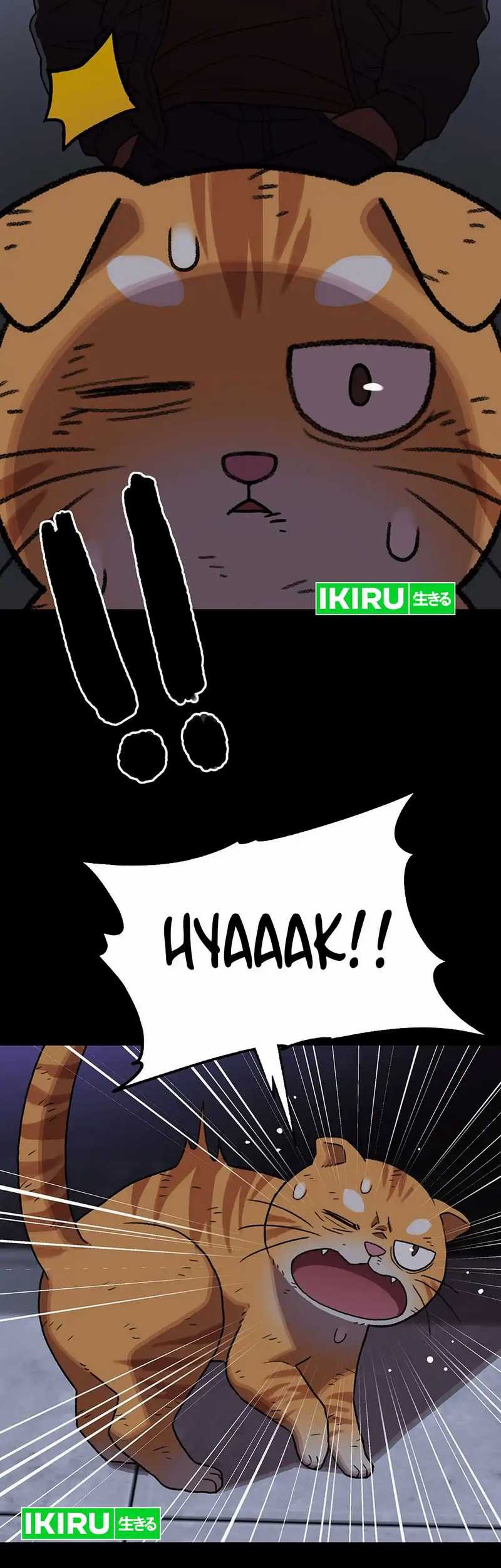 Rainbow Bridge Watchman Chapter 138 Gambar 39