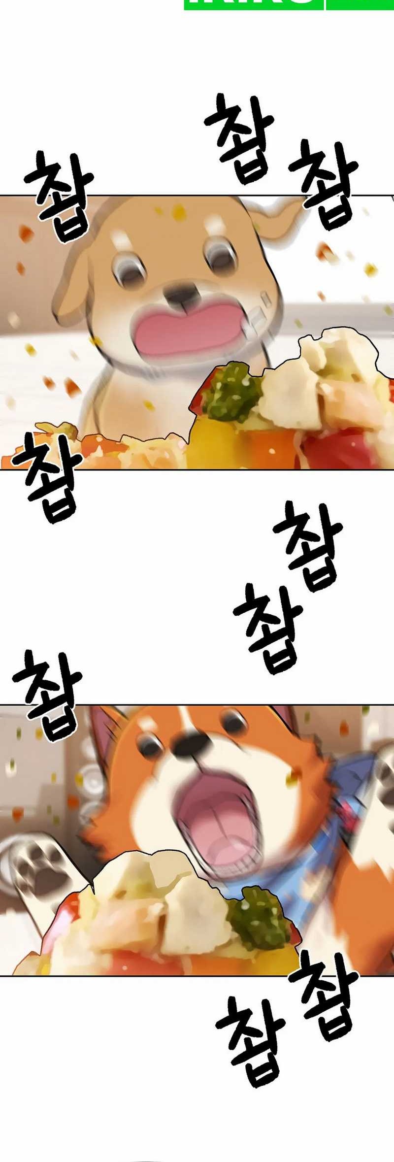 Rainbow Bridge Watchman Chapter 140 Gambar 32