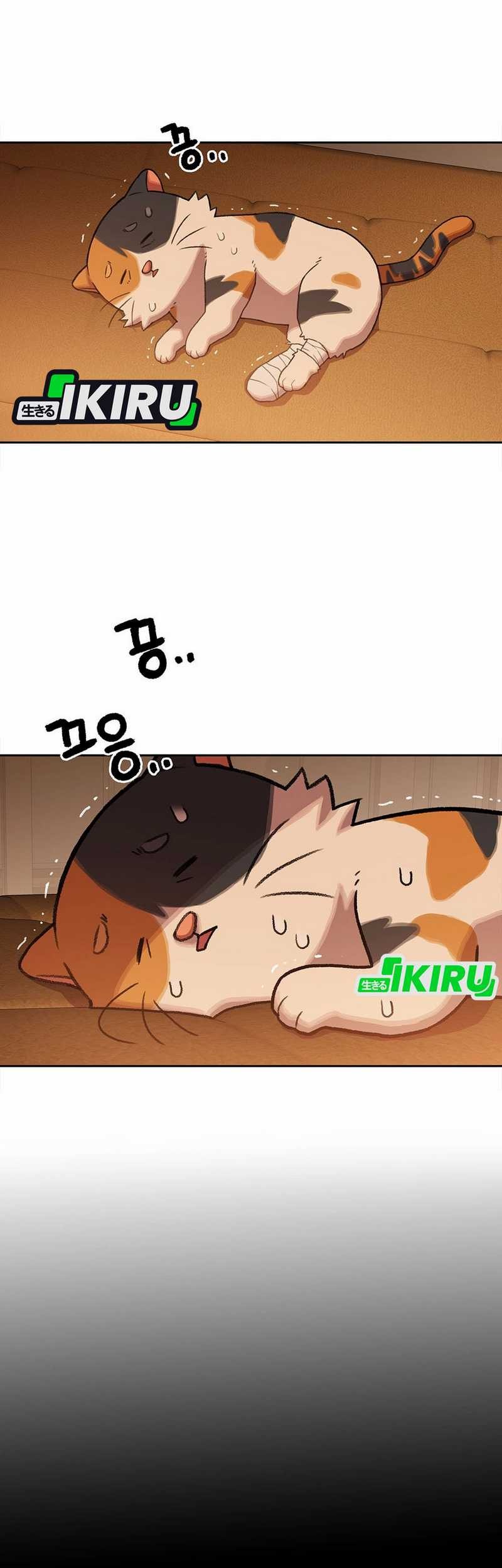 Rainbow Bridge Watchman Chapter 152 Gambar 58