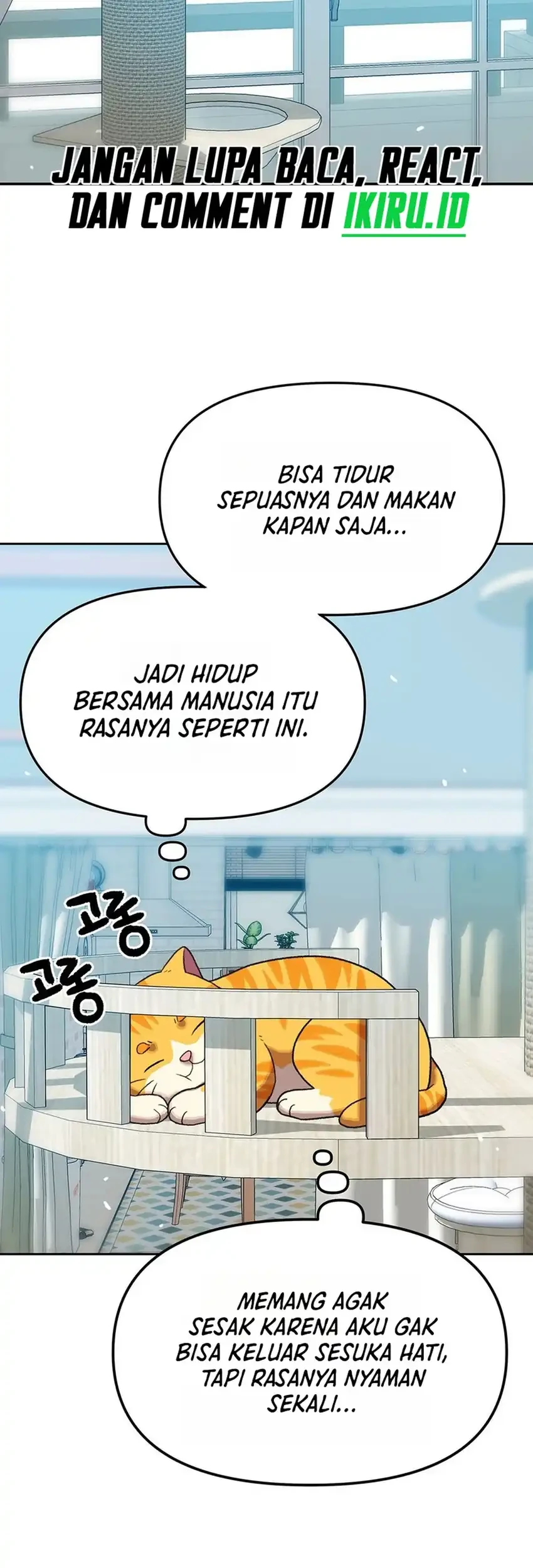 Rainbow Bridge Watchman Chapter 191 Gambar 17