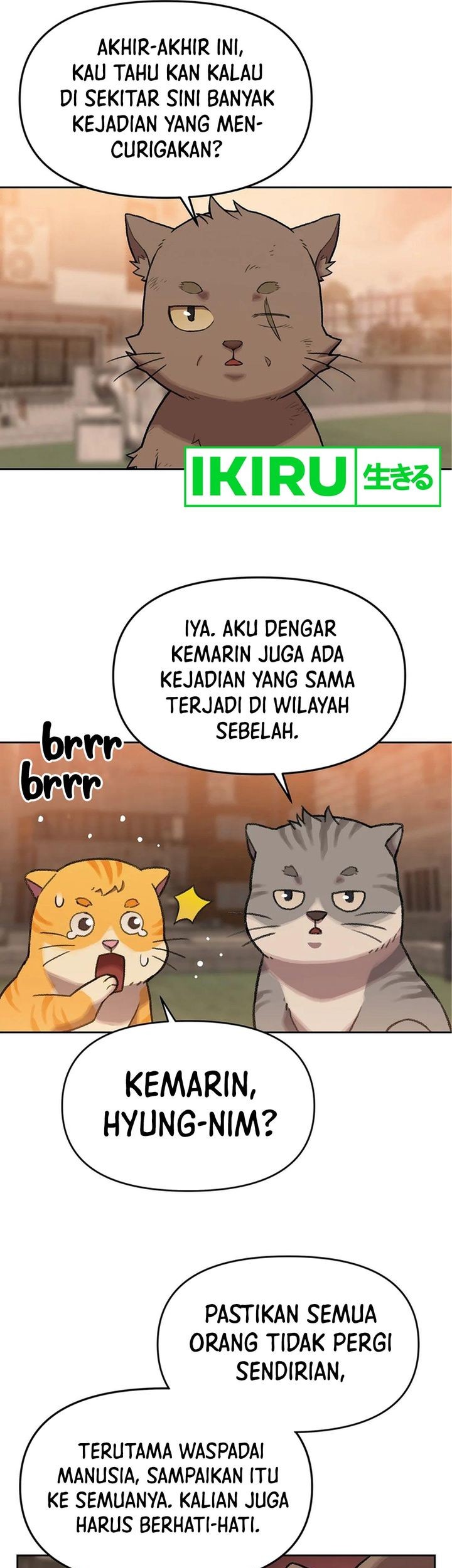 Rainbow Bridge Watchman Chapter 42 Gambar 31