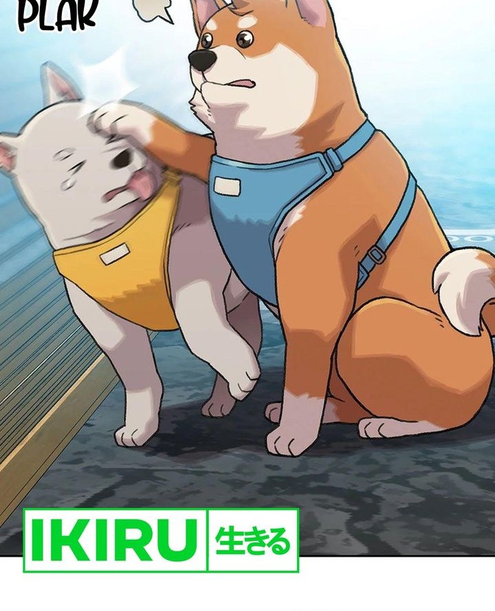 Rainbow Bridge Watchman Chapter 42 Gambar 12