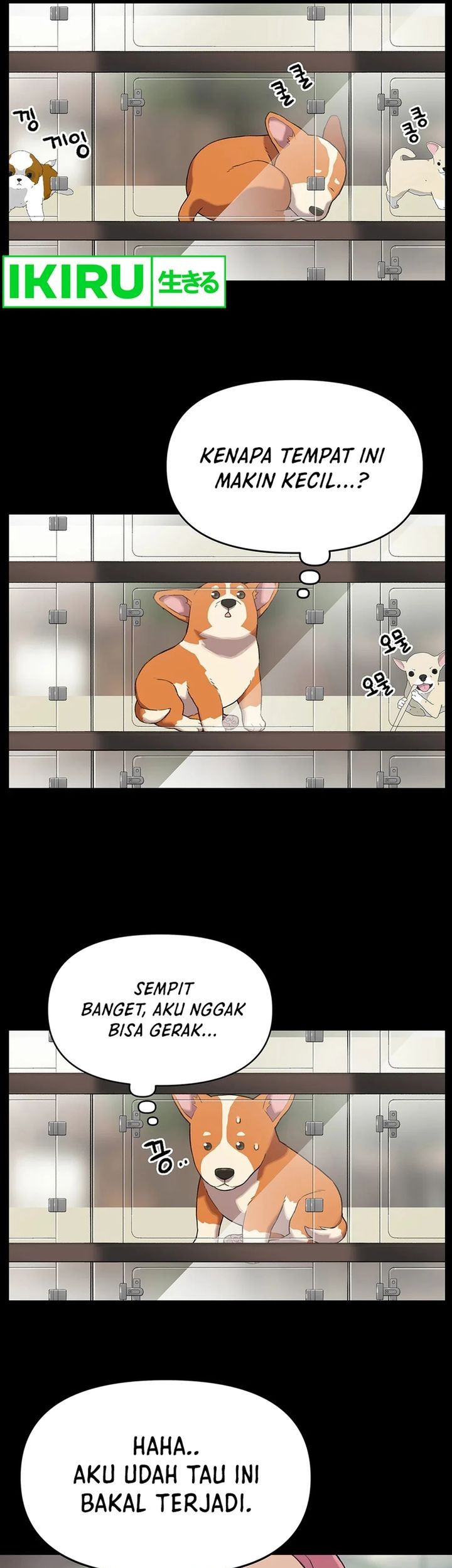 Rainbow Bridge Watchman Chapter 47 Gambar 5