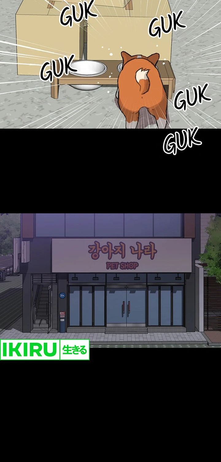 Rainbow Bridge Watchman Chapter 47 Gambar 10