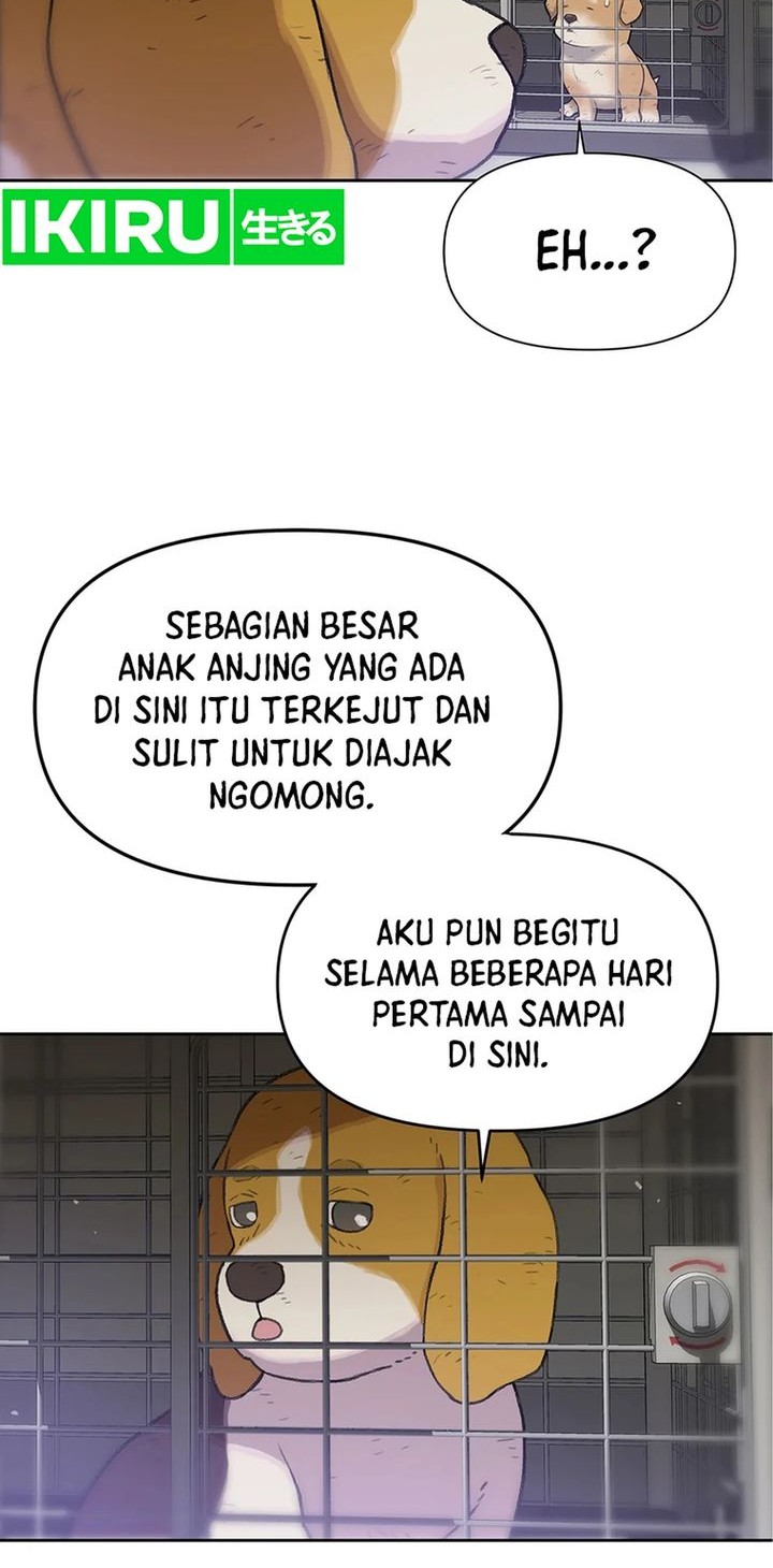 Rainbow Bridge Watchman Chapter 48 Gambar 8