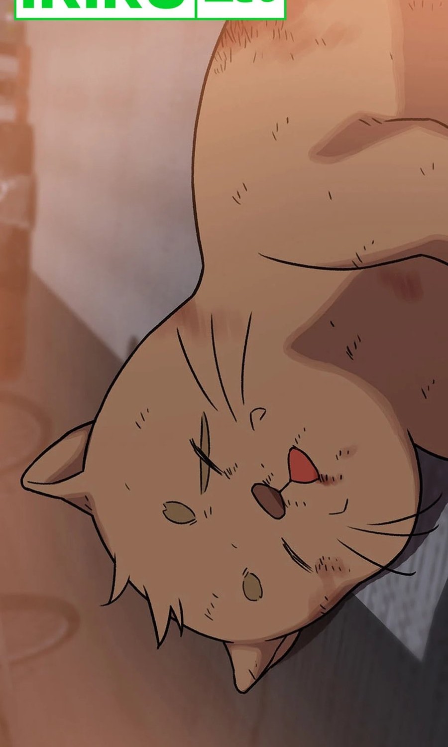 Rainbow Bridge Watchman Chapter 90 Gambar 40