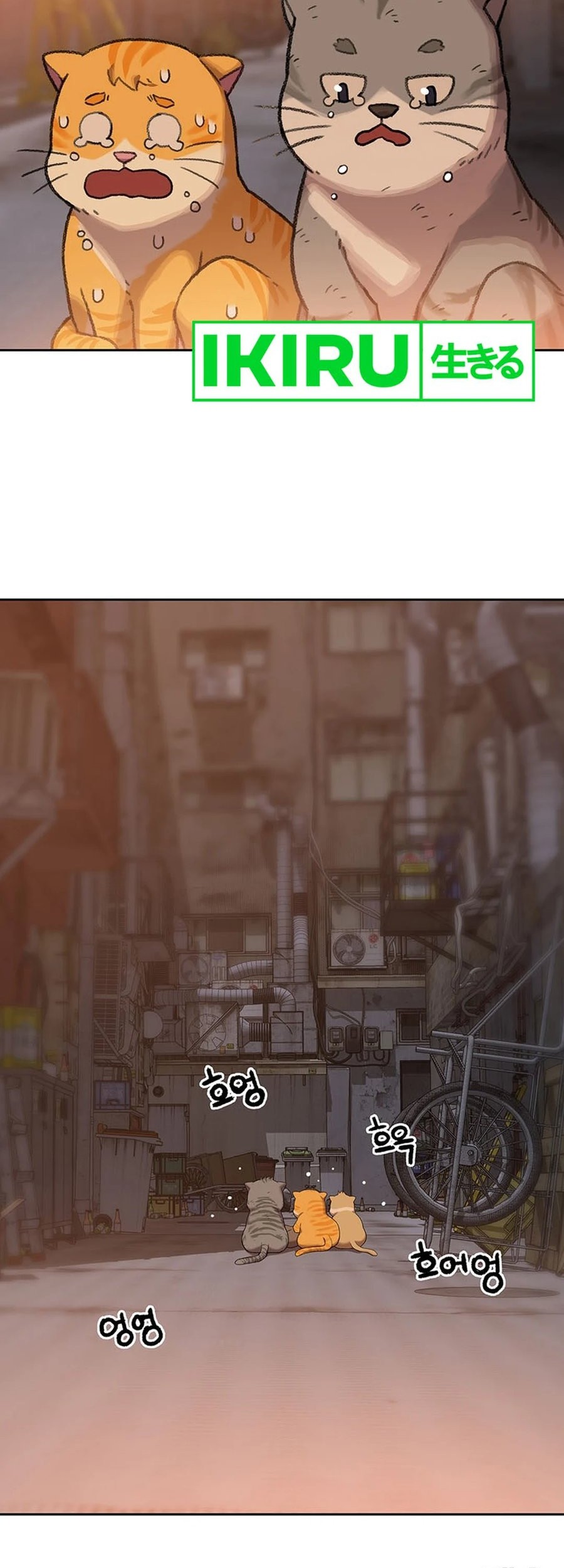 Rainbow Bridge Watchman Chapter 90 Gambar 43