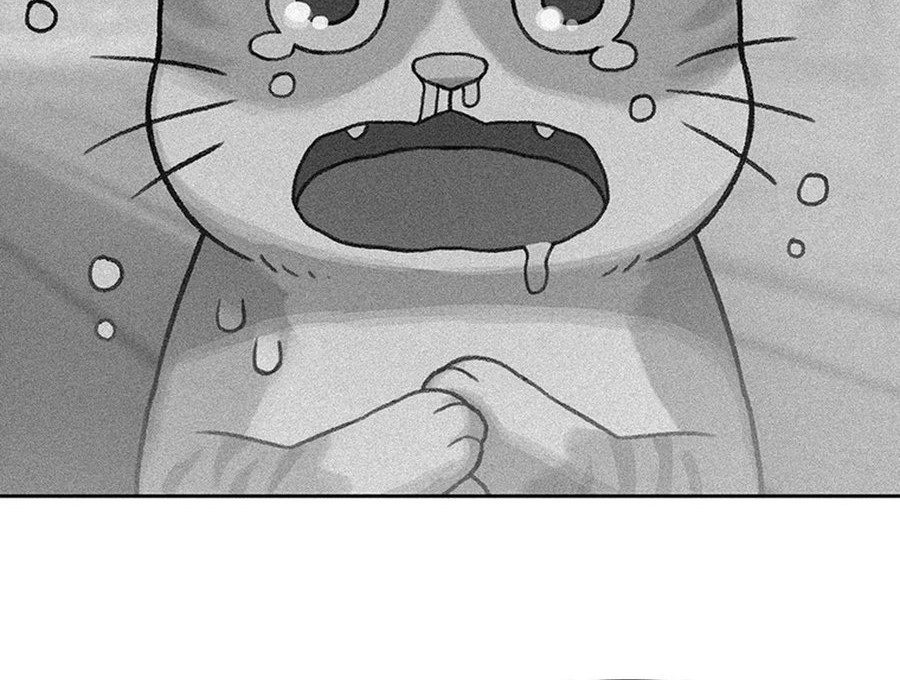 Rainbow Bridge Watchman Chapter 91 Gambar 8