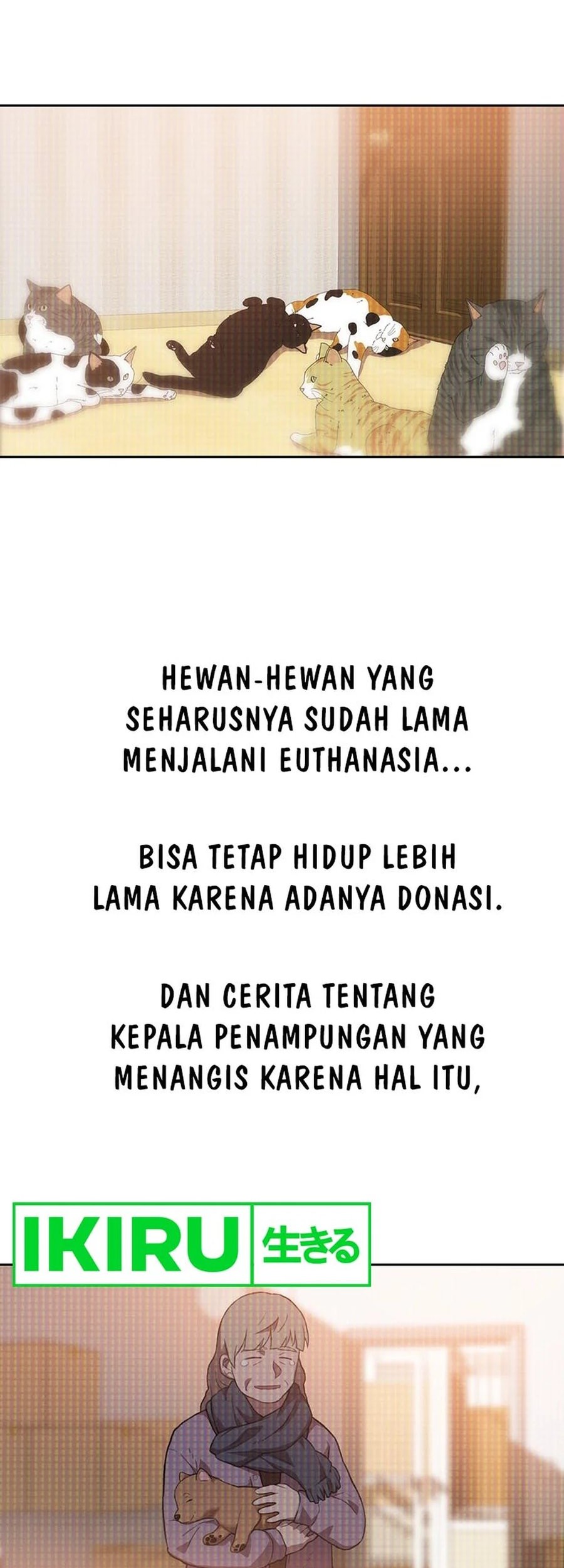 Rainbow Bridge Watchman Chapter 92 Gambar 22