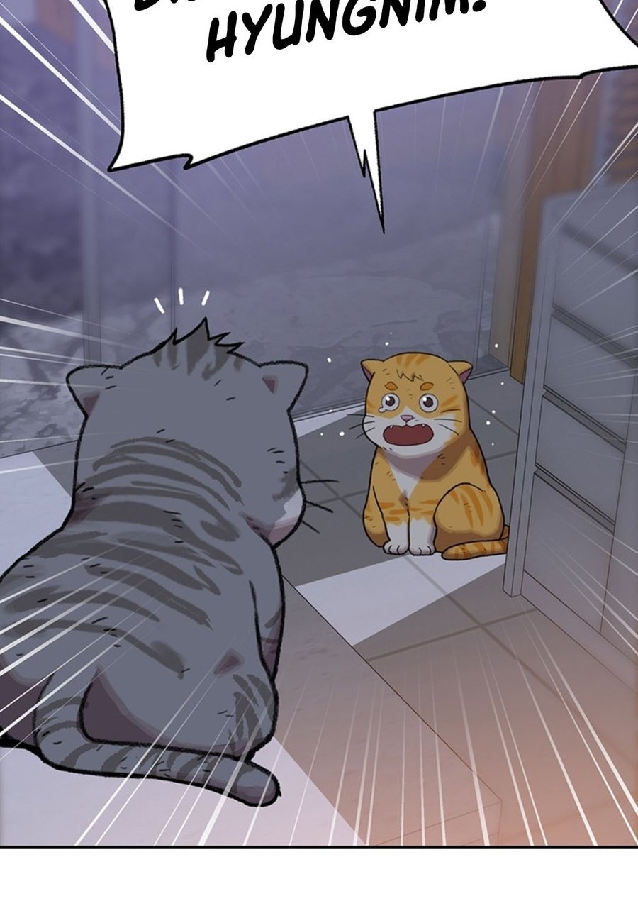 Rainbow Bridge Watchman Chapter 94 Gambar 31