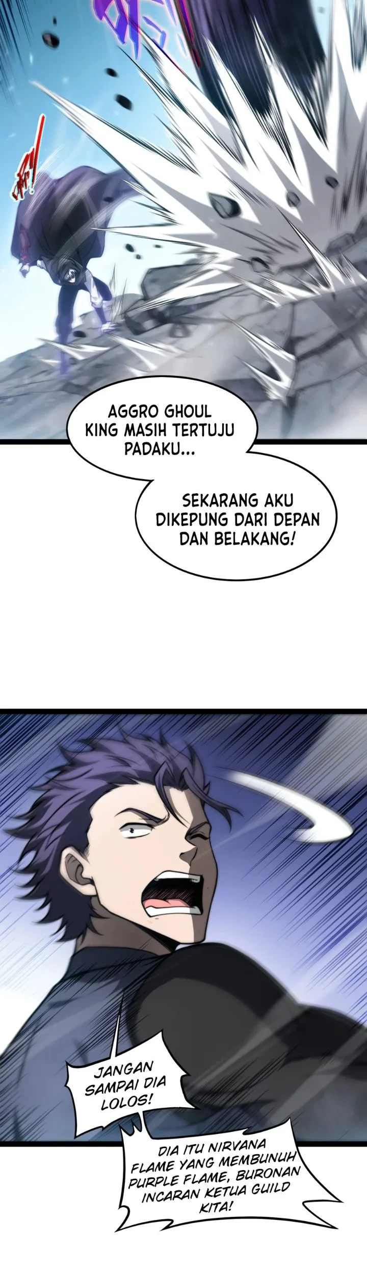 Rebirth of the Thief Who Roamed the World Chapter 44 Gambar 36