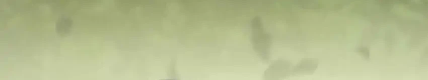 Reincarnated as the Strongest Monster Eater: Revenge on the Tyrant Dragon Chapter 19 Gambar 11