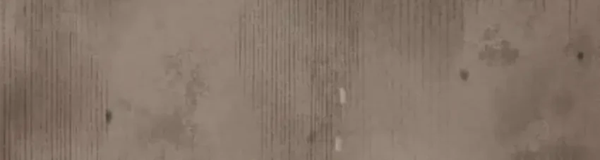 Reincarnated as the Strongest Monster Eater: Revenge on the Tyrant Dragon Chapter 8 Gambar 14