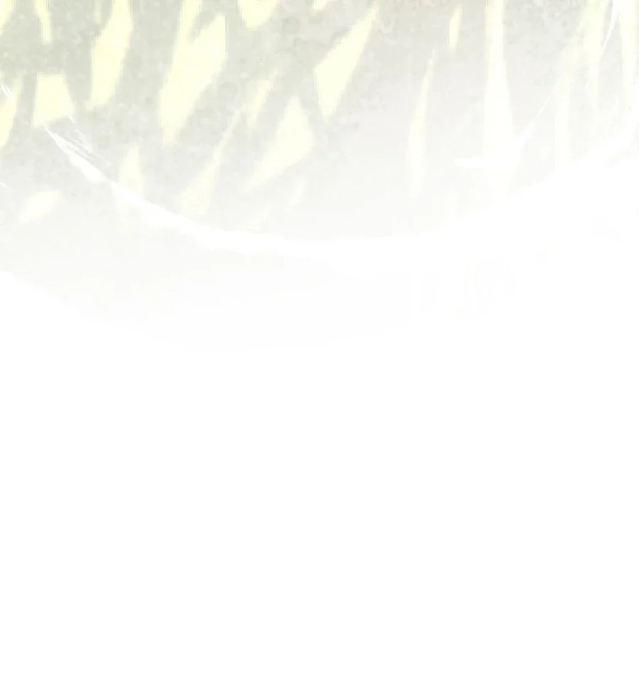 Reincarnated Escort Warrior Chapter 117 Gambar 55