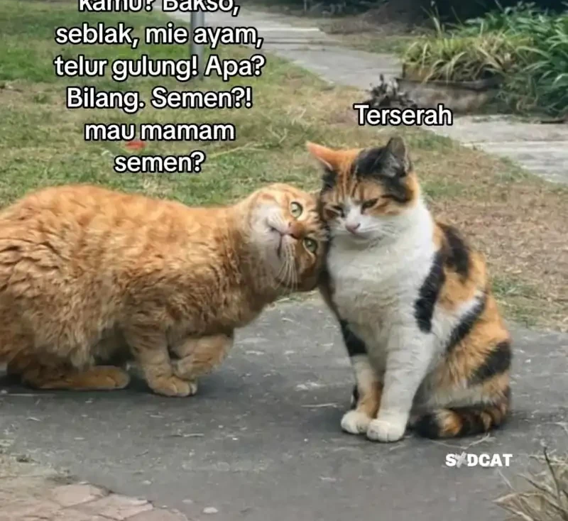 Return of the Renebound Professor Chapter 93 Gambar 74