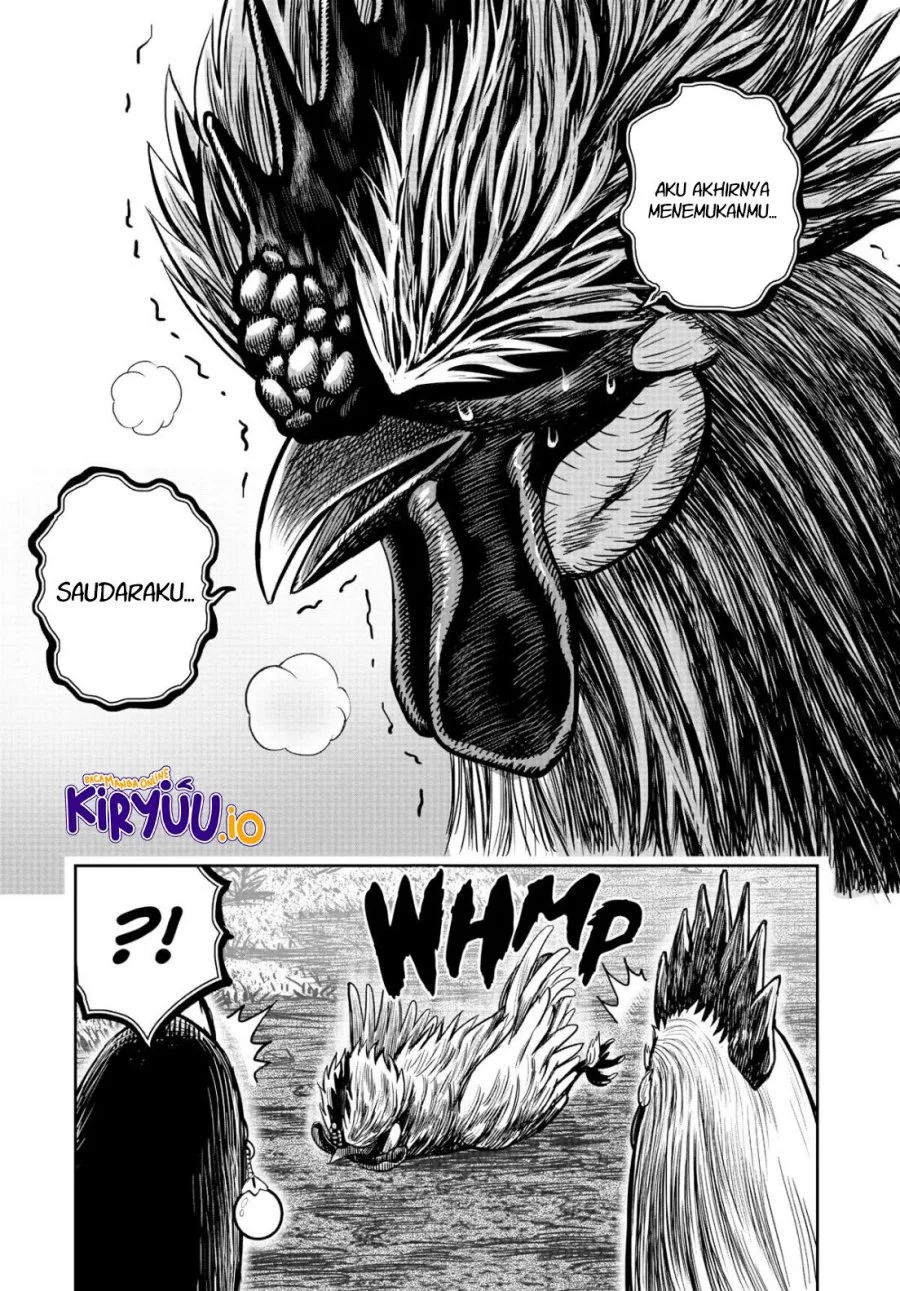 Rooster Fighter Chapter 18 Gambar 33