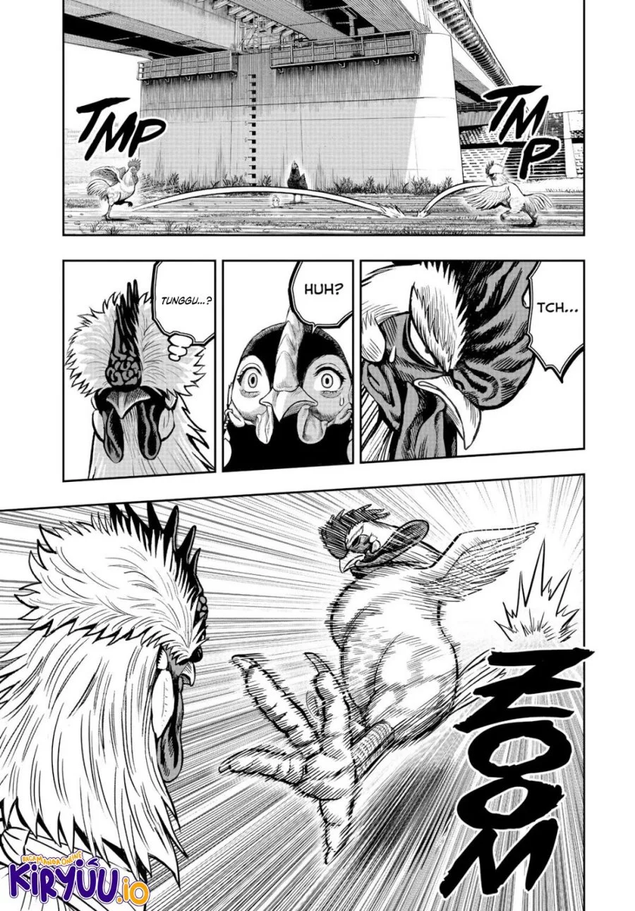 Rooster Fighter Chapter 19 Gambar 32