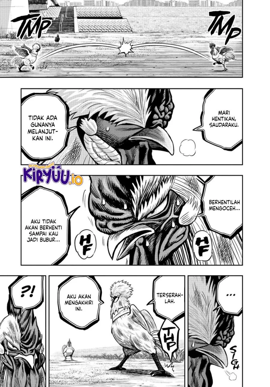 Rooster Fighter Chapter 19 Gambar 36