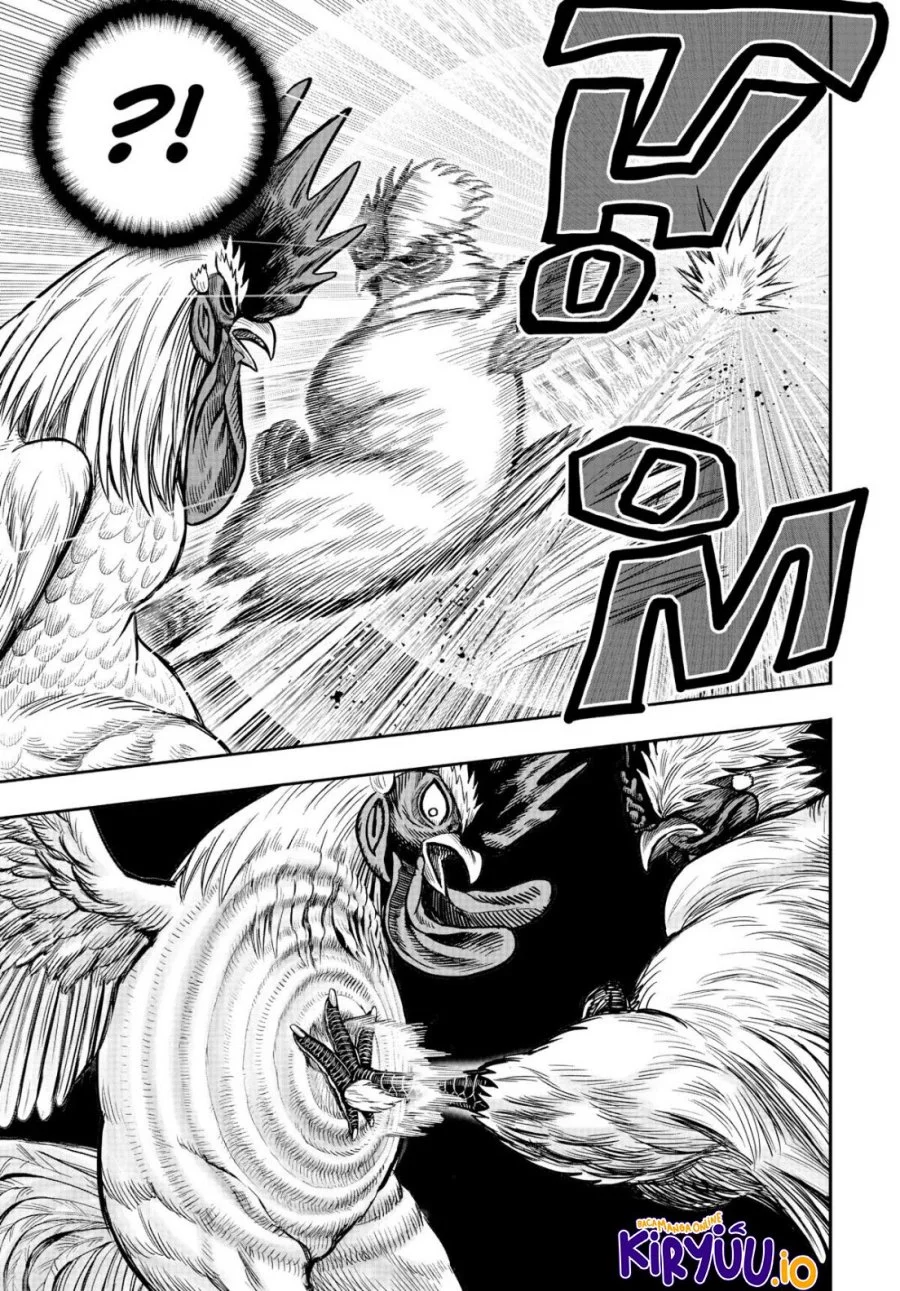 Rooster Fighter Chapter 19 Gambar 38