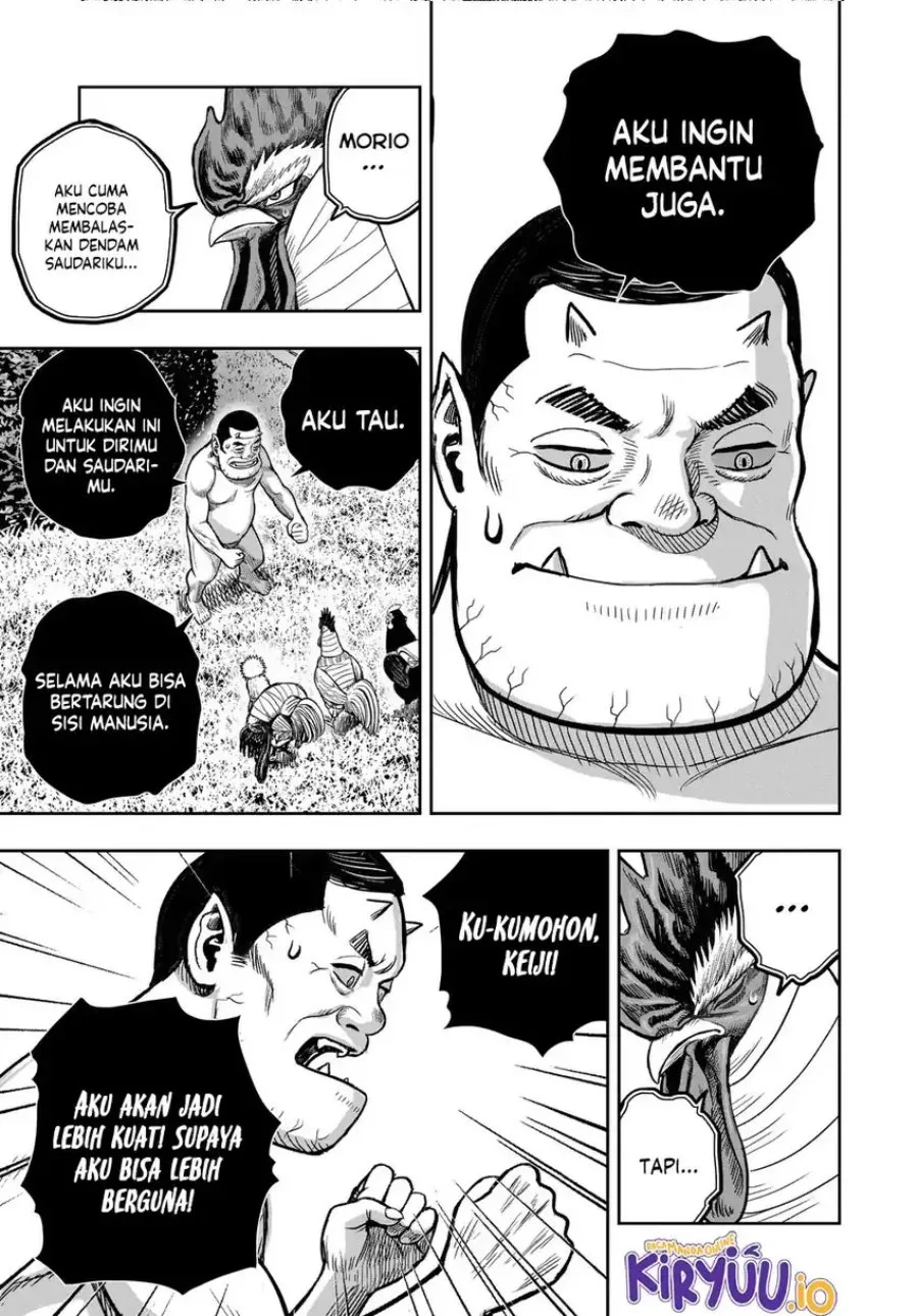 Rooster Fighter Chapter 33 Gambar 38