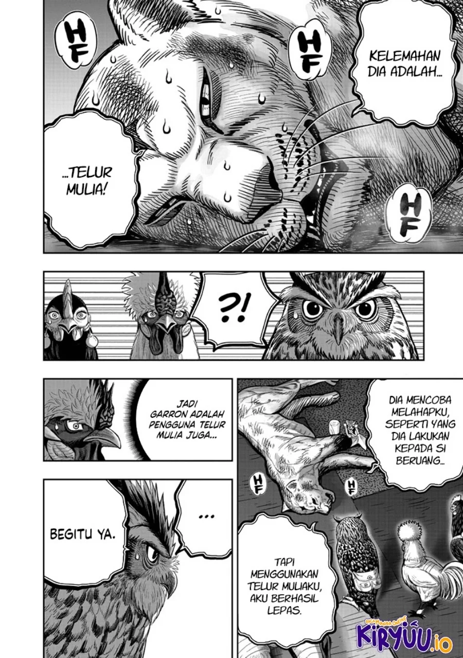 Rooster Fighter Chapter 41 Gambar 17
