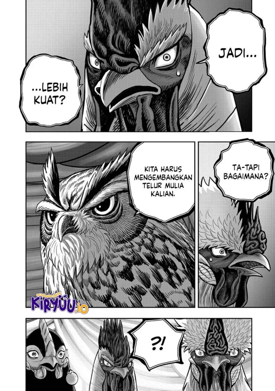 Rooster Fighter Chapter 41 Gambar 25