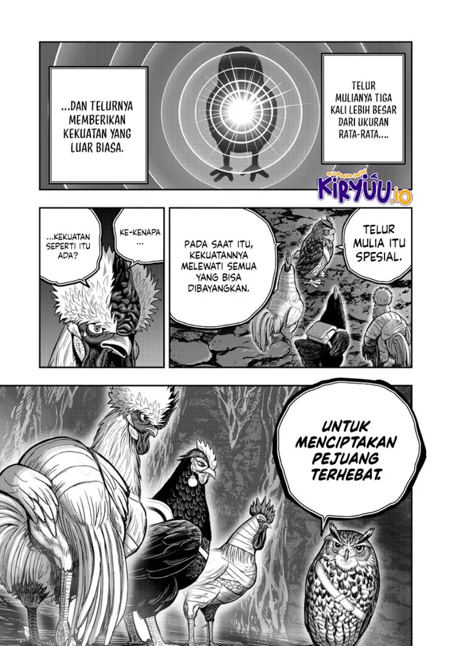 Rooster Fighter Chapter 43 Gambar 20