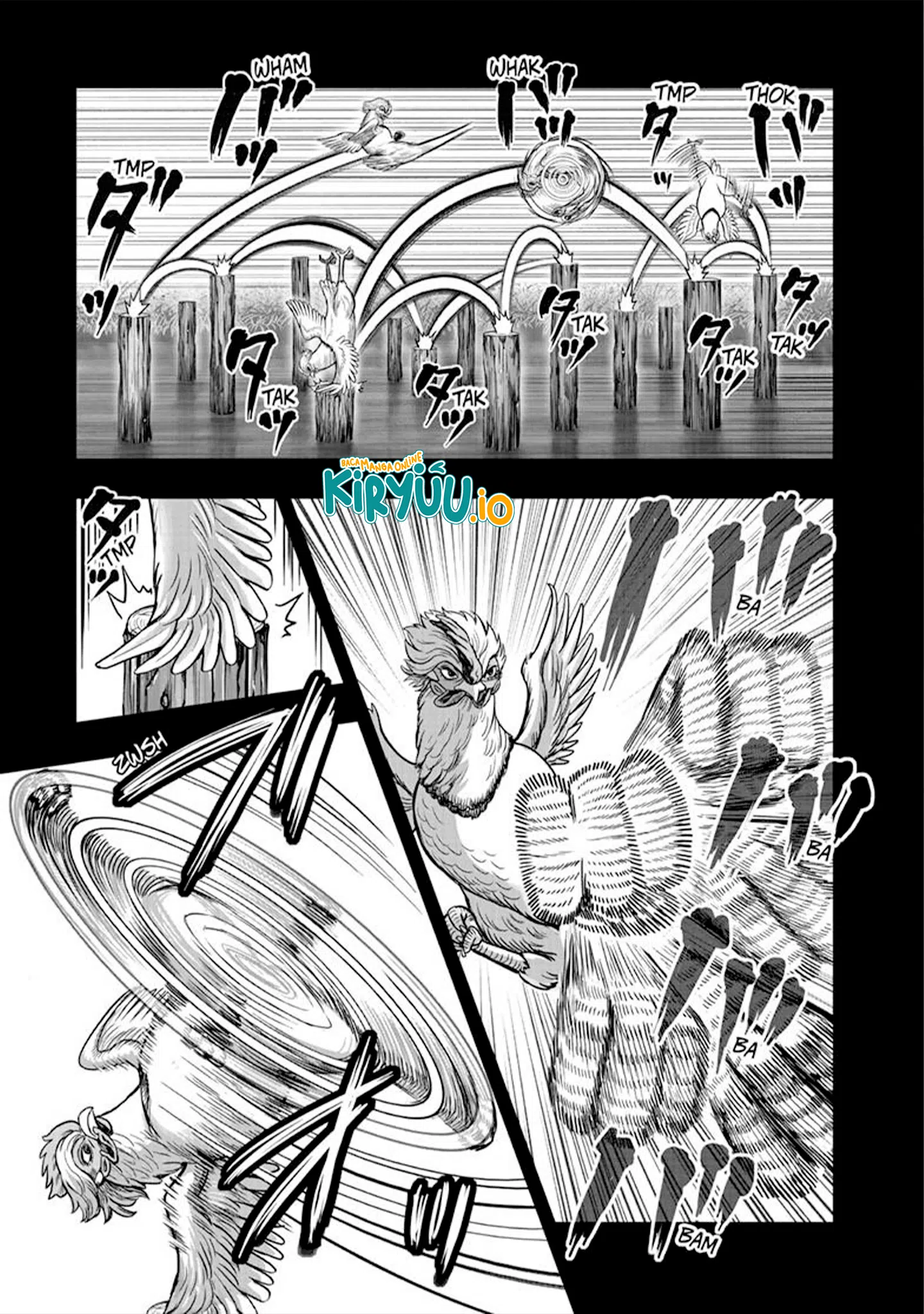 Rooster Fighter Chapter 51 Gambar 16