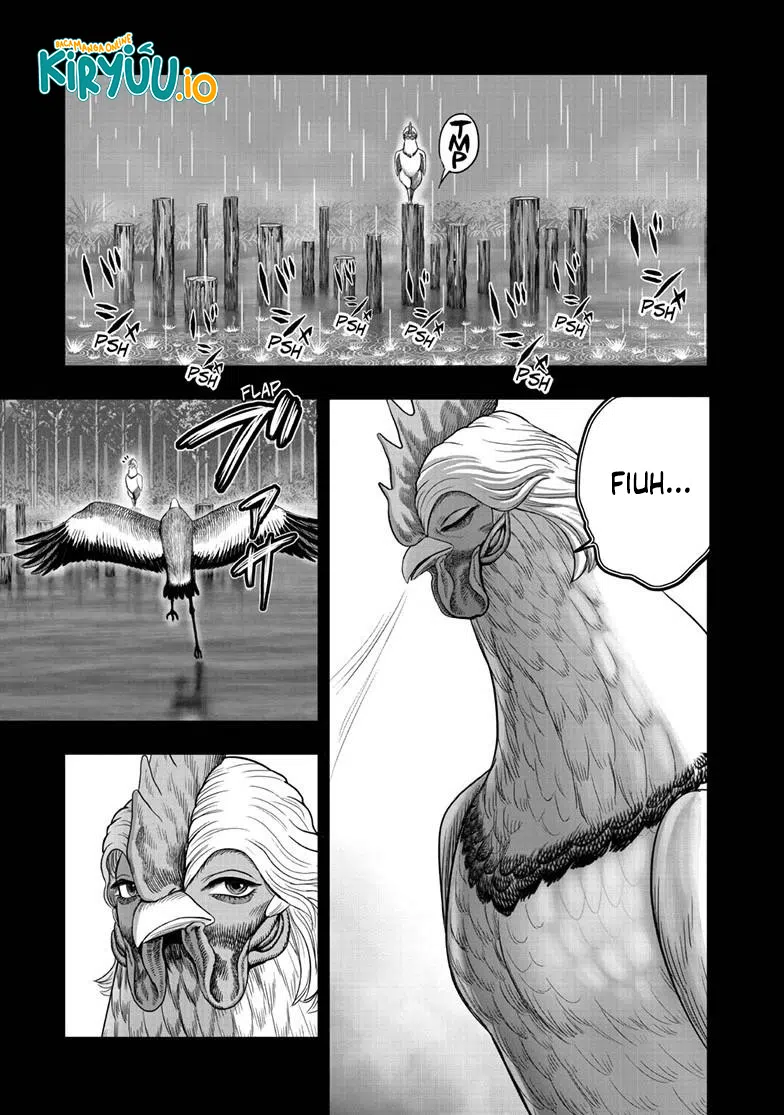 Rooster Fighter Chapter 51 Gambar 18