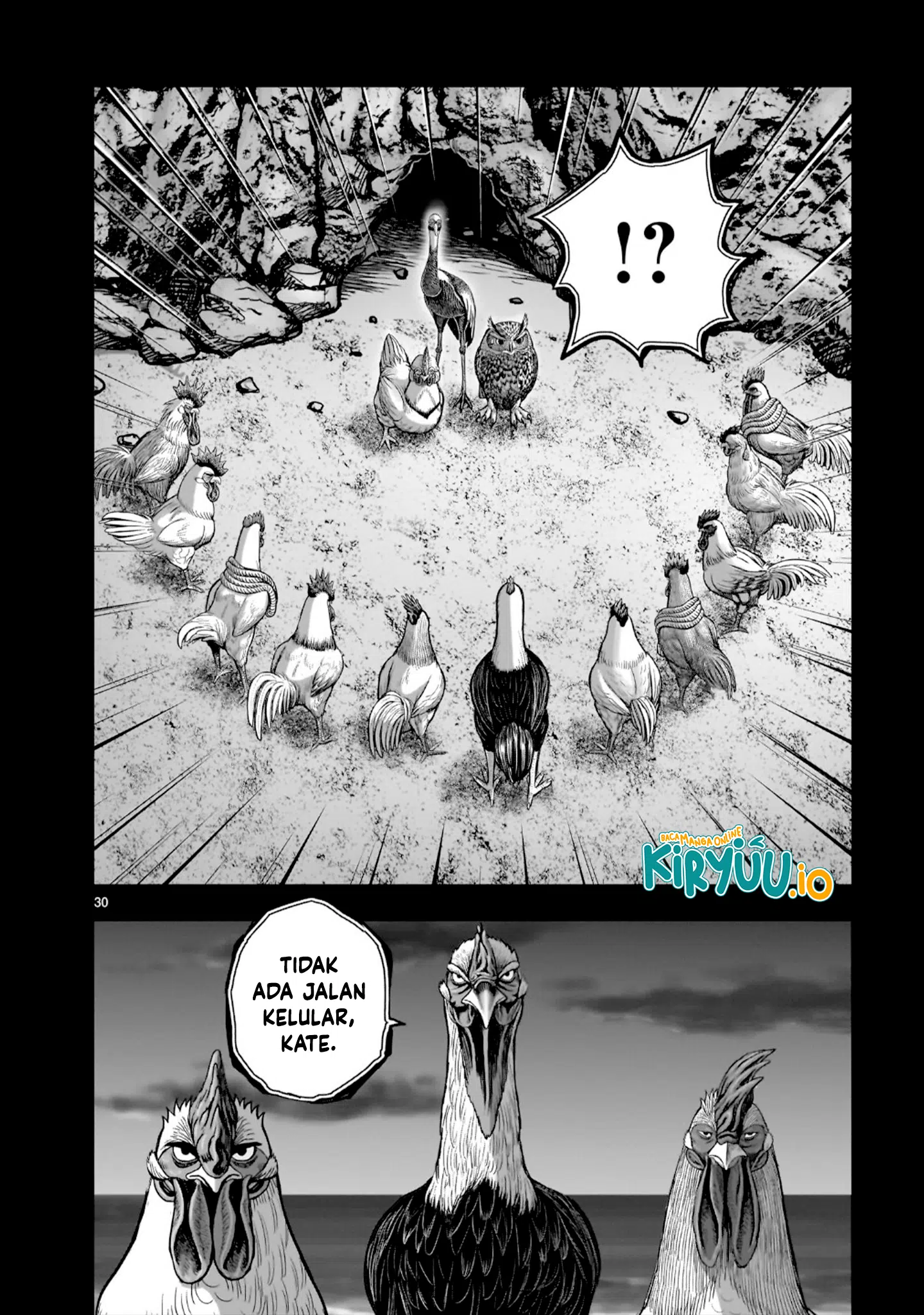 Rooster Fighter Chapter 52 Gambar 31