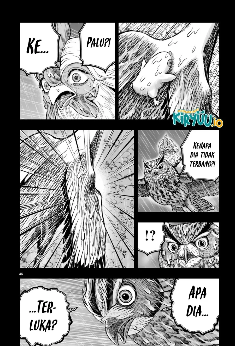 Rooster Fighter Chapter 53 Gambar 41