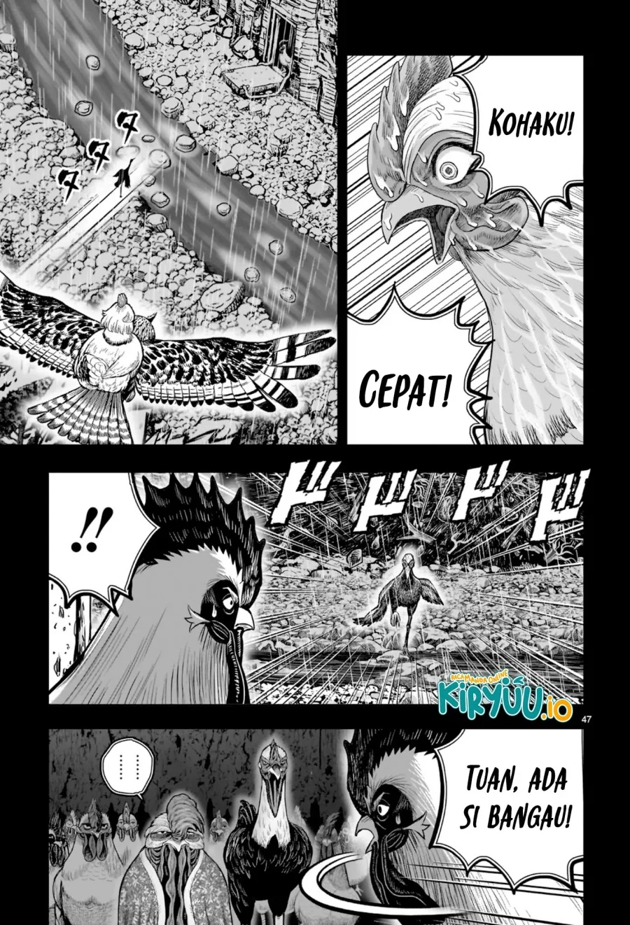 Rooster Fighter Chapter 53 Gambar 42
