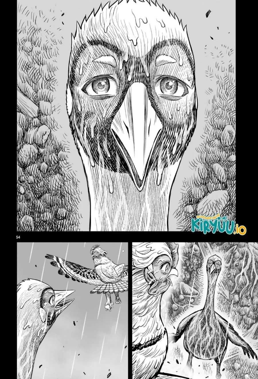 Rooster Fighter Chapter 53 Gambar 49