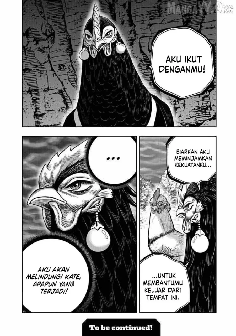 Rooster Fighter Chapter 55 Gambar 29
