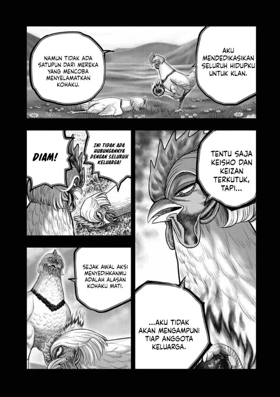 Rooster Fighter Chapter 55 Gambar 9