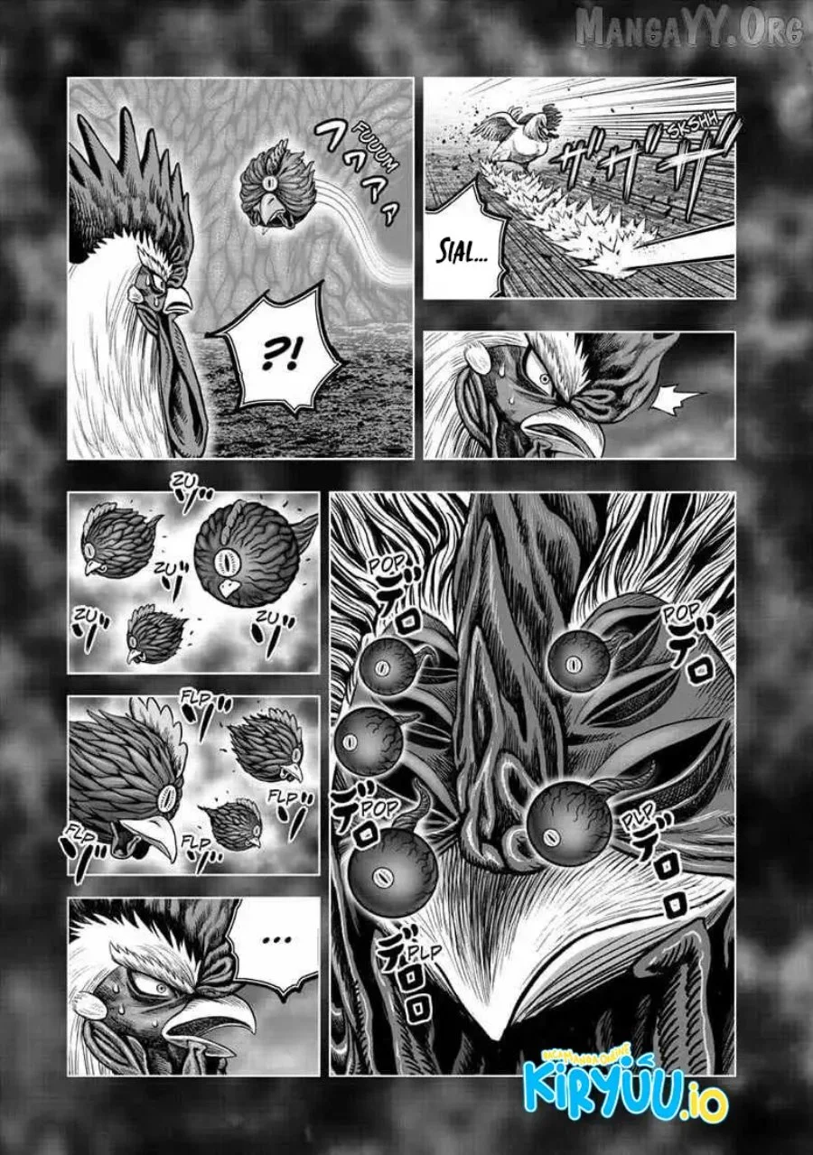 Rooster Fighter Chapter 56 Gambar 10