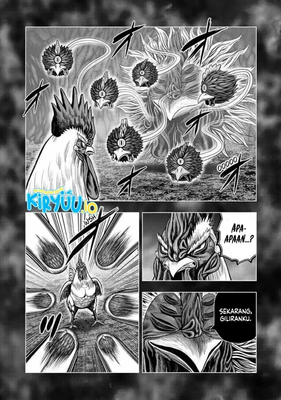 Rooster Fighter Chapter 56 Gambar 11