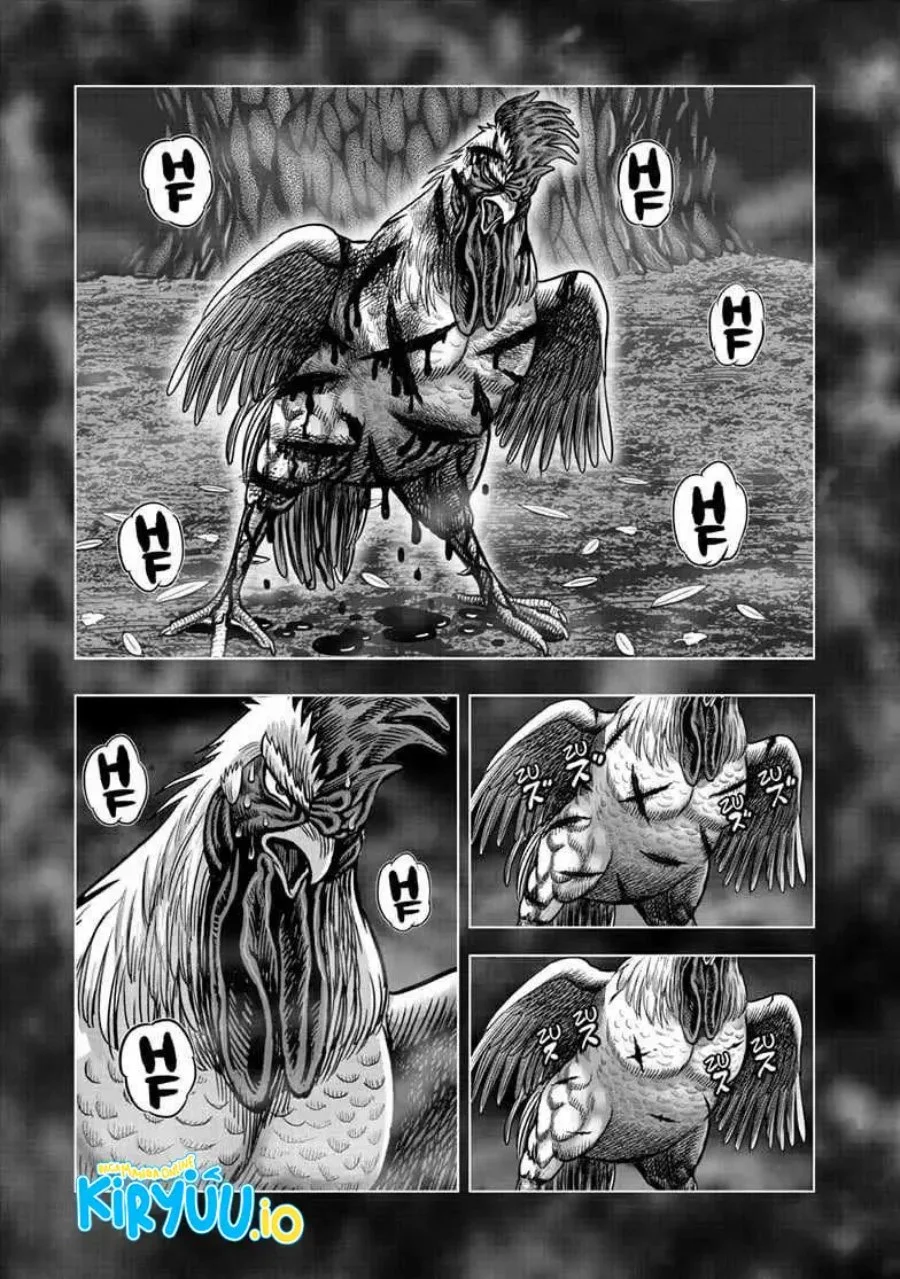 Rooster Fighter Chapter 56 Gambar 14