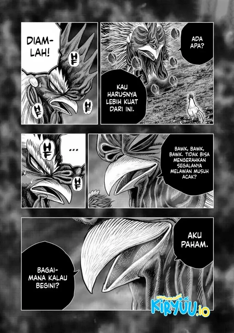 Rooster Fighter Chapter 56 Gambar 15