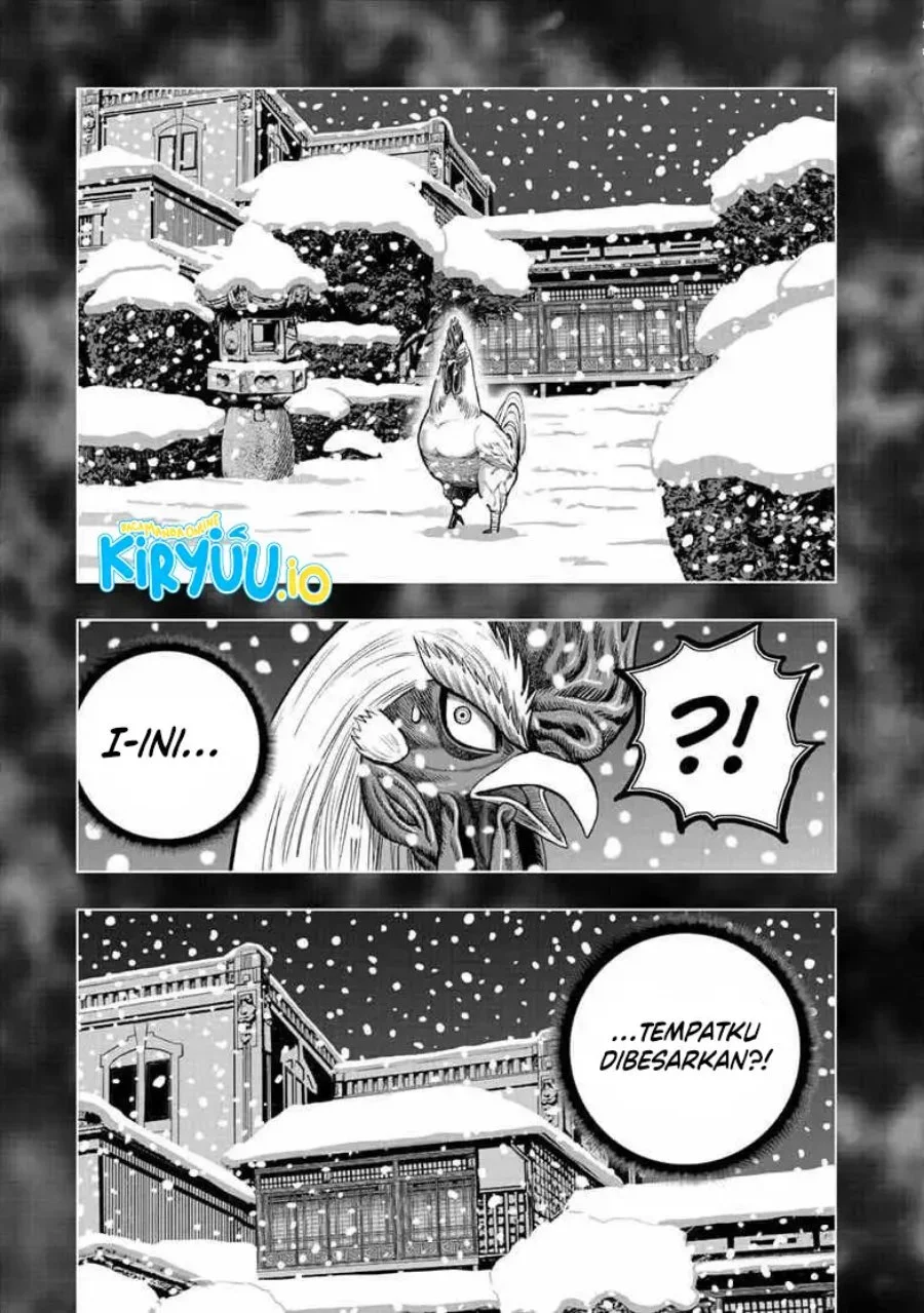 Rooster Fighter Chapter 56 Gambar 16